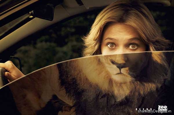 Sở thú Safari- những ấn phẩm quảng cáo hài hước