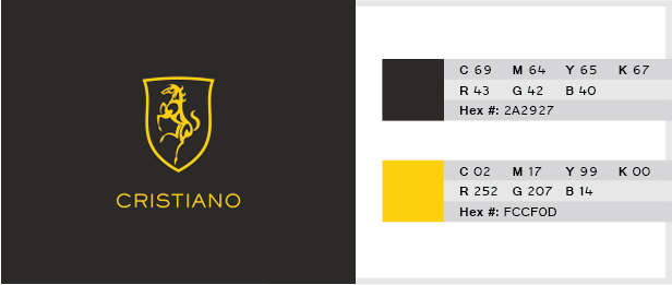 Grey-Yellow-2-color-combination-for-logo-design-04