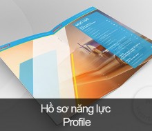 Hồ sơ năng lực – Profile