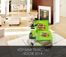 Hộp bánh trung thu Roche – 2014