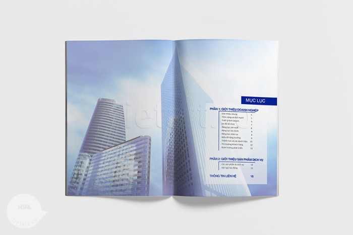 Hồ sơ năng lực Liên Anh