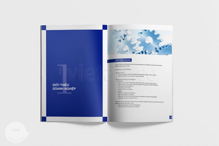 Hồ sơ năng lực Liên Anh