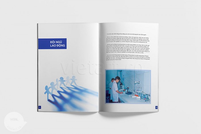 Hồ sơ năng lực Liên Anh