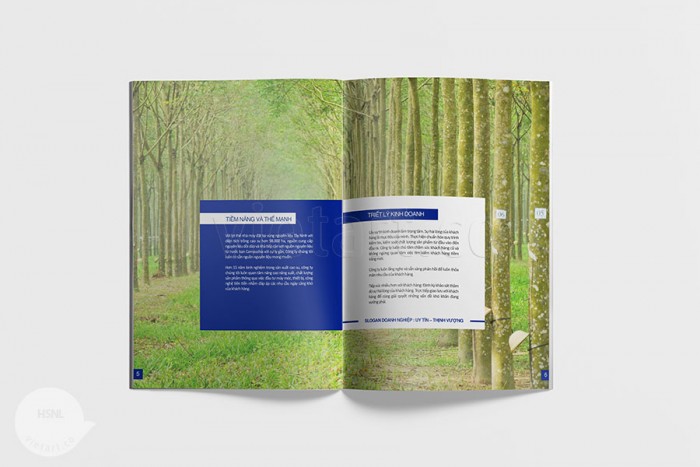 Hồ sơ năng lực Liên Anh