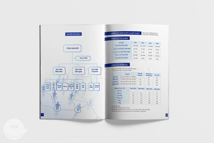 Hồ sơ năng lực Liên Anh