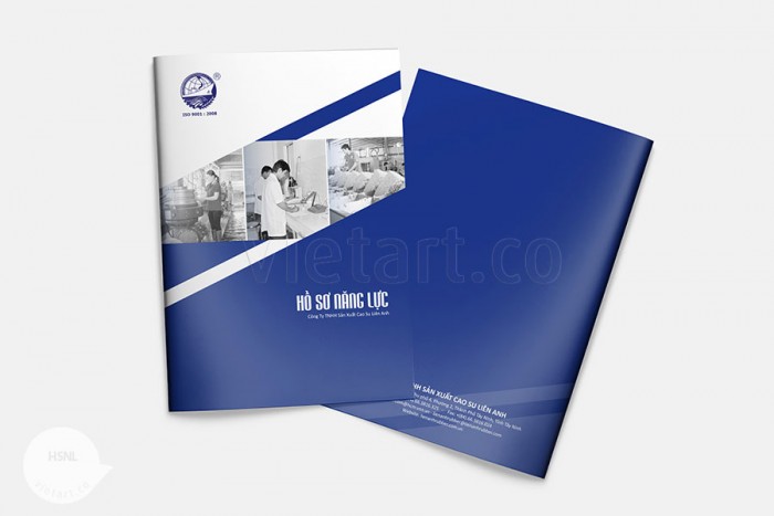 Hồ sơ năng lực Liên Anh