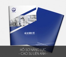 Hồ sơ năng lực Liên Anh
